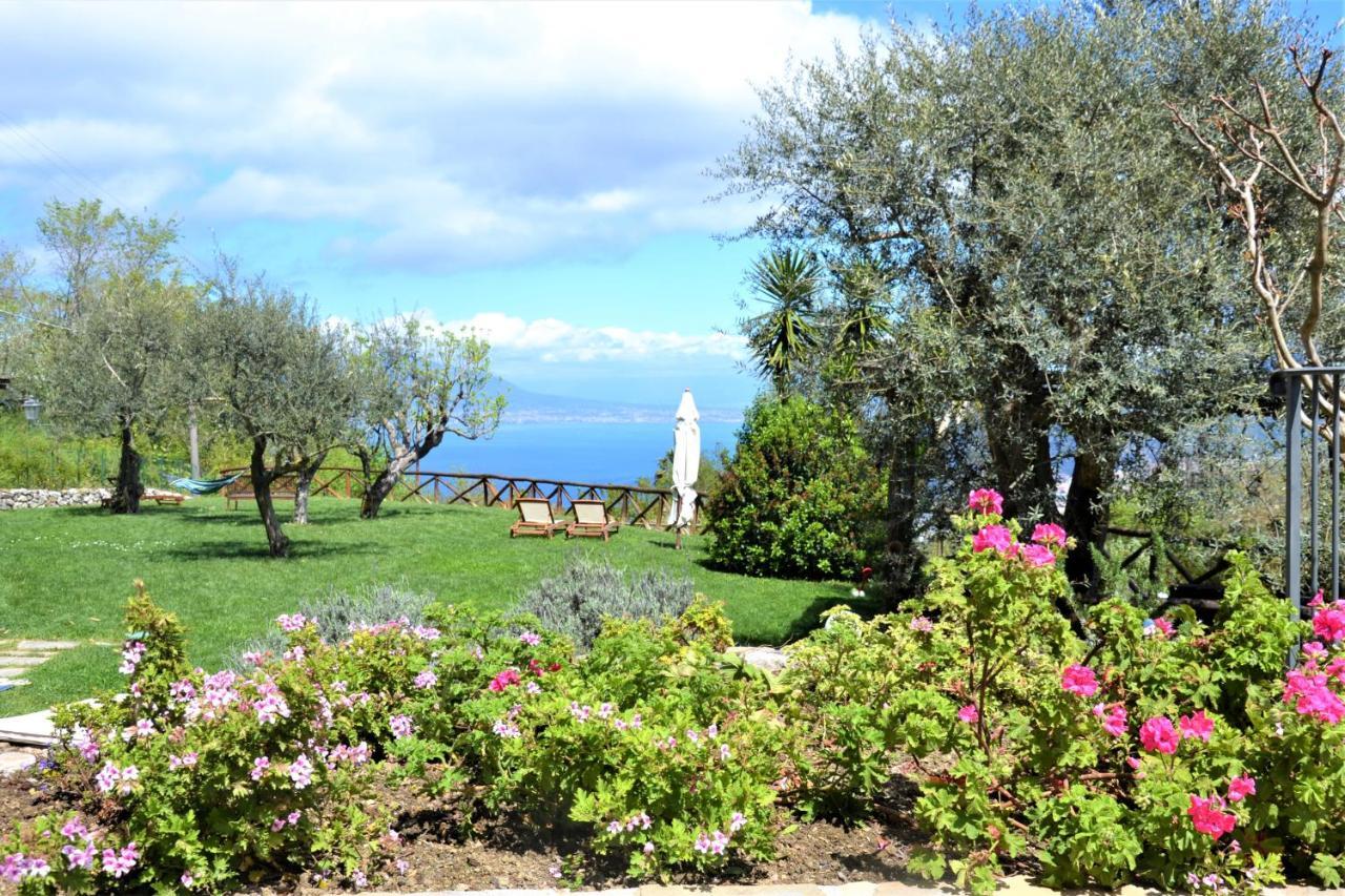 Sorrento View Villa Exteriér fotografie